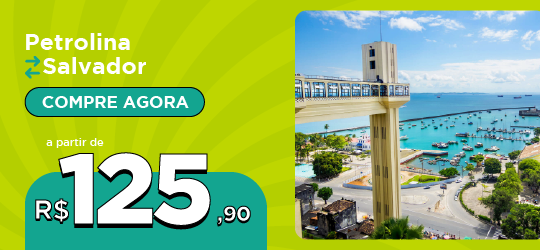 Passagens de onibus de Petrolina para Salvador-BA a partir de R$ 125,90, clique para comprar agora! 