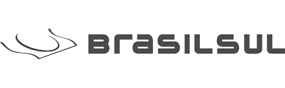 Logo Viação Brasil Sul